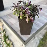 Vila El Istria Rabac- Private Pool & Bbq Labin (Istria)