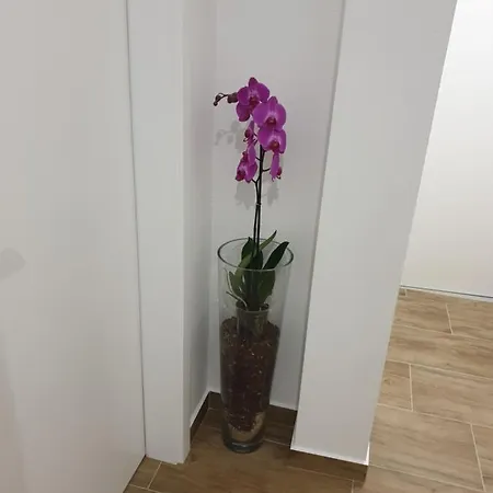 El Istria * Labin (Istria)